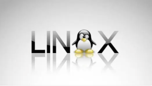 趣谈Linux操作系统 | 完结