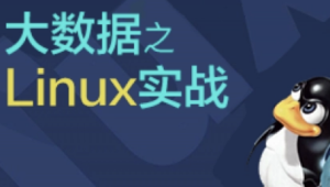 Linux实战技能100讲 | 完结