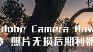 Adobe Camera Raw：照片无损后期利器 | 完结