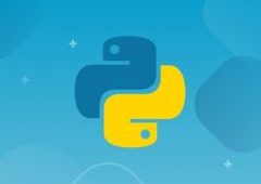 Python Flask开发电影网站 Python小白快速进阶初级Web工程师