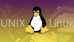 Linux 内核技术实战课 | 完结