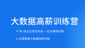 拉钩-大数据开发高薪训练营|2021年|完结