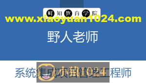 野人老师.202311.软考中级系统集成项目管理工程师