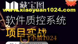 藏宝图项目实战，软件质控系统项目实战，视频+资料，价值2999