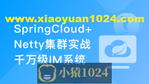 SpringCloud+Netty集群实战千万级 IM系统