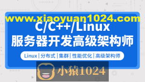 零声 C C++Linux服务器开发 高级架构师2109