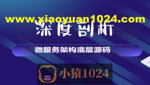 【大厂学苑】深度剖析微服务架构底层源码