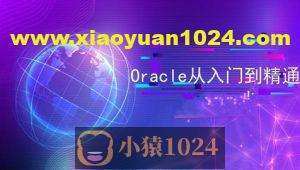 Oracle 教程合集（入门+进阶+实战）