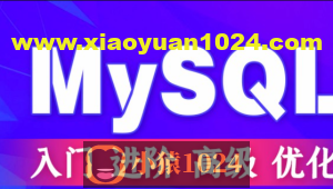 Mysql优化高级技巧、经典案例与专题 61课