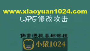 2022WPE修改攻击伤害透视基础课程（小白一定要仔细多看几遍）