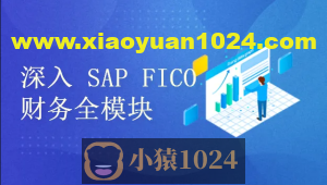 深入浅出学习 SAP S4 HANA FICO 财务全模块